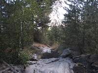 rrente Quarantore-20110911 096